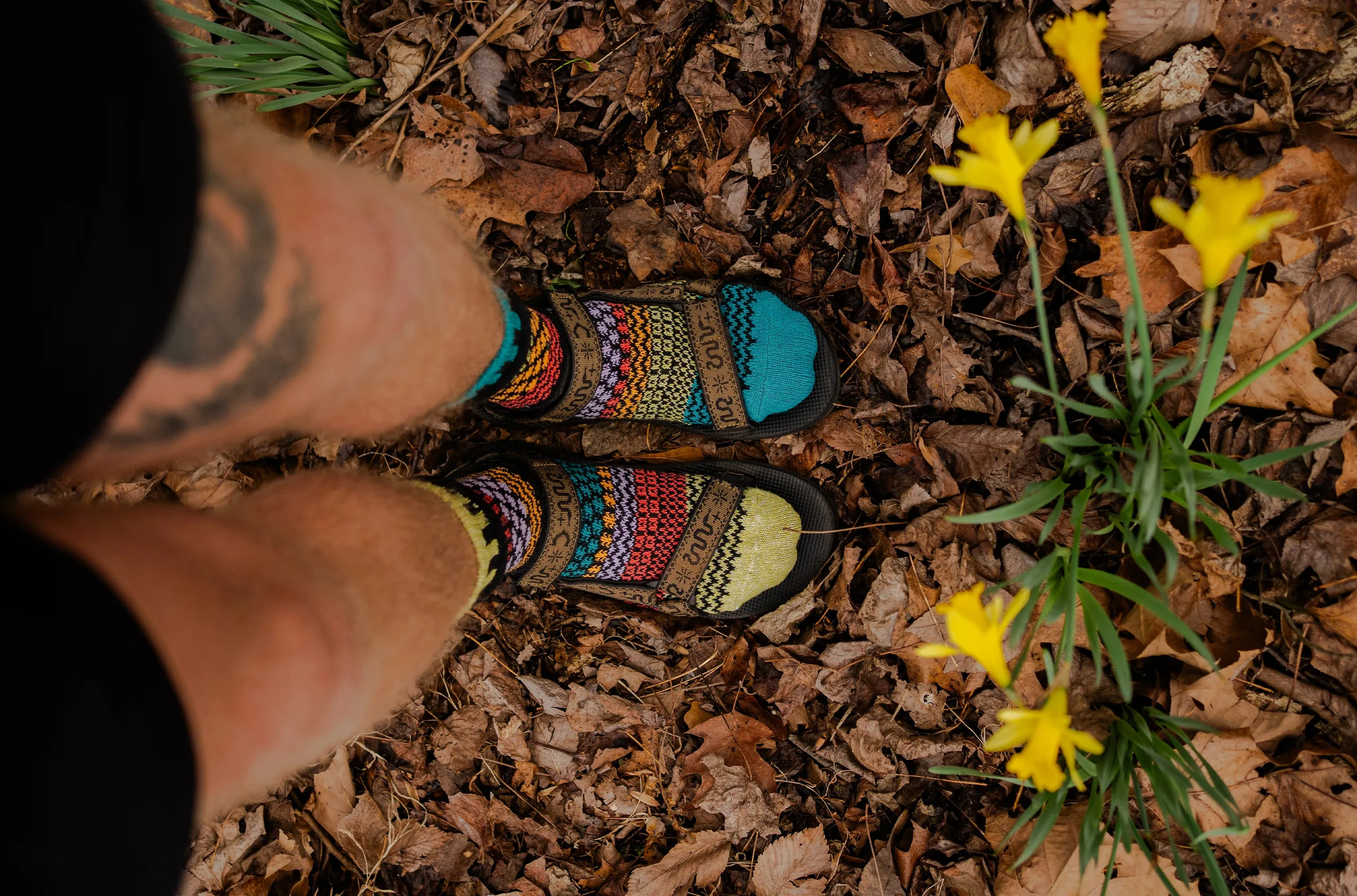 Artichoke Recycled Cotton Crew Socks