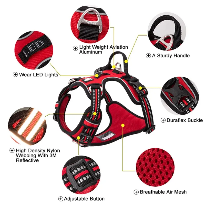 Explorer Reflective Harness (No-Pull)