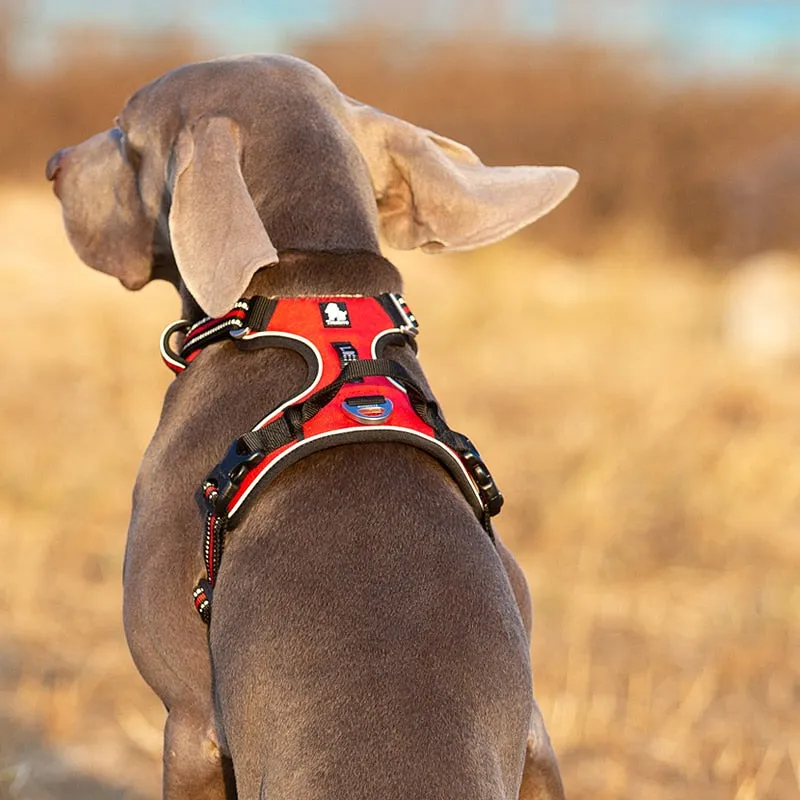 Explorer Reflective Harness (No-Pull)