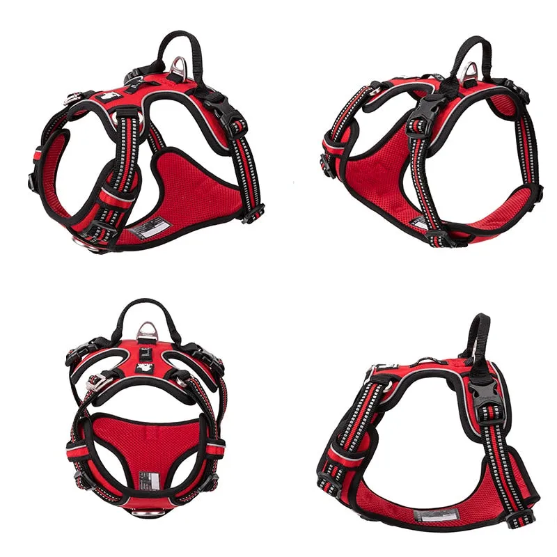 Explorer Reflective Harness (No-Pull)