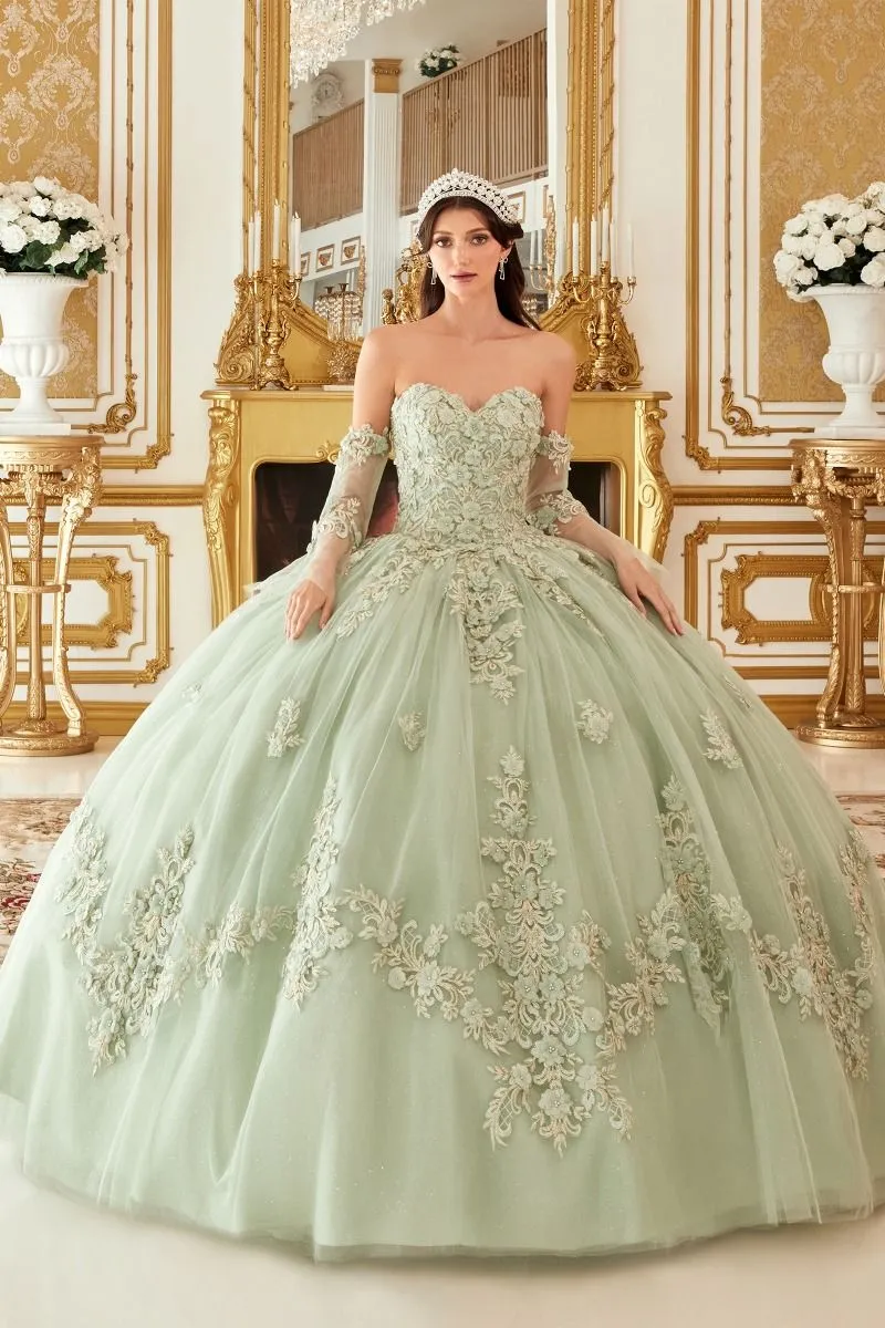 RIALINA Floral Applique Sleeve Quinceañera Ball Gown Dress