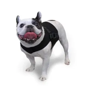 Walkin’ Small Front Dog Vest