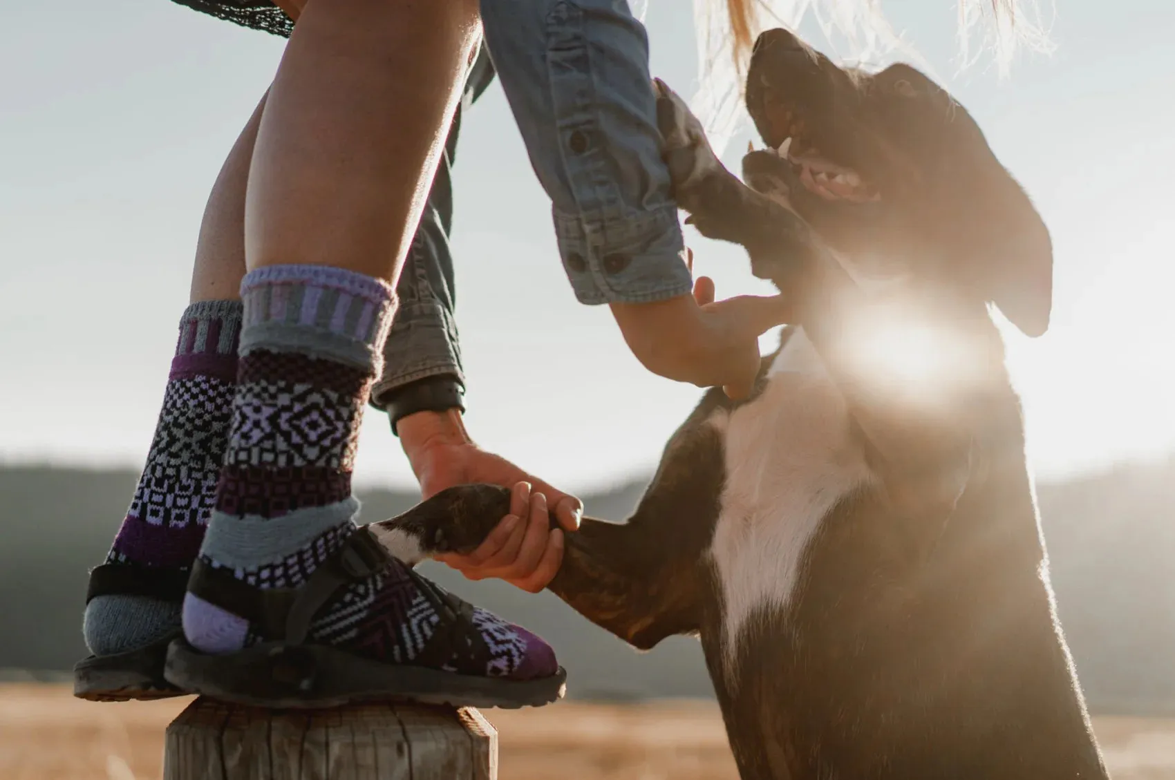 Wisteria Recycled Cotton Crew Socks